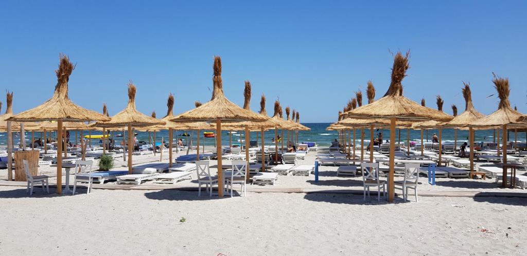 Aloysia Apartment Mamaia Nord photo