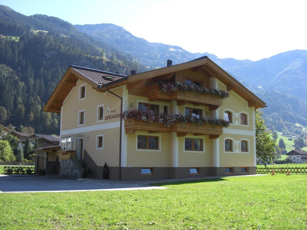 Edelweiss - 2