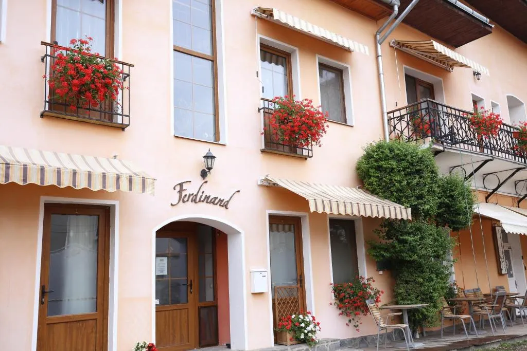Pension Ferdinand Panzio, hotel v destinaci Sfântu-Gheorghe