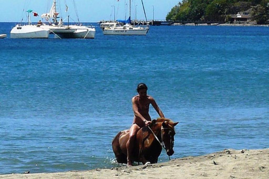 Horseback riding