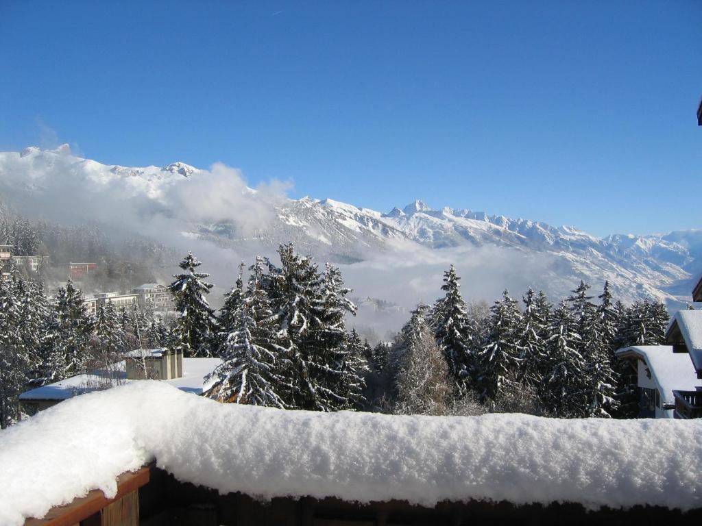 View