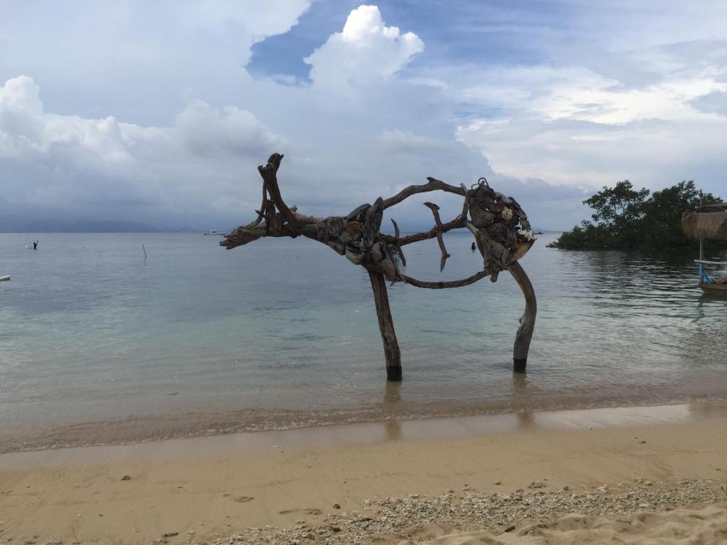 Tropica Tranquility Villas photo