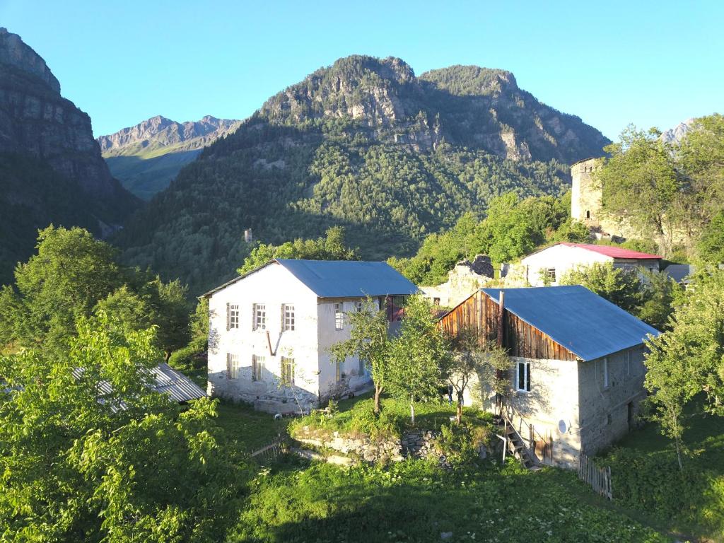 Ciuri's Guesthouse — Hotel in Tsaldashi