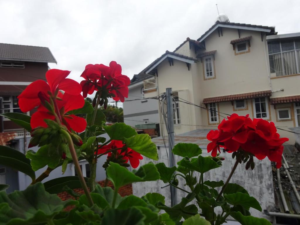 Blue Sky Homestay
