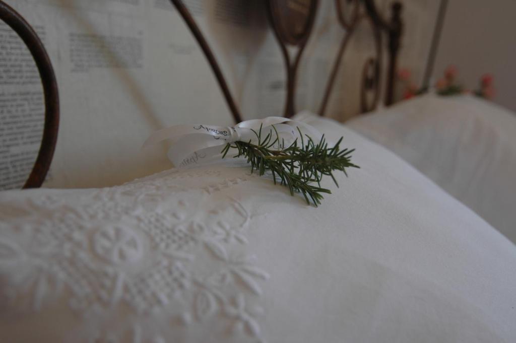 Apricus Locanda Boutique Hotel photo
