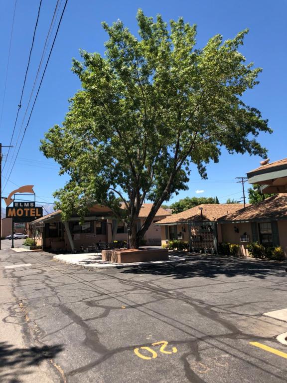 Bishop Elms Motel — Hotel in Bishop (CA)
