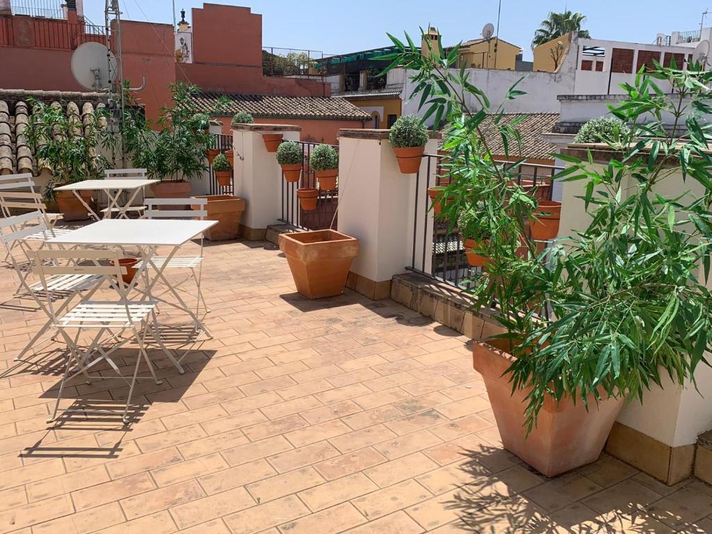 Apartamentos Altamira photo
