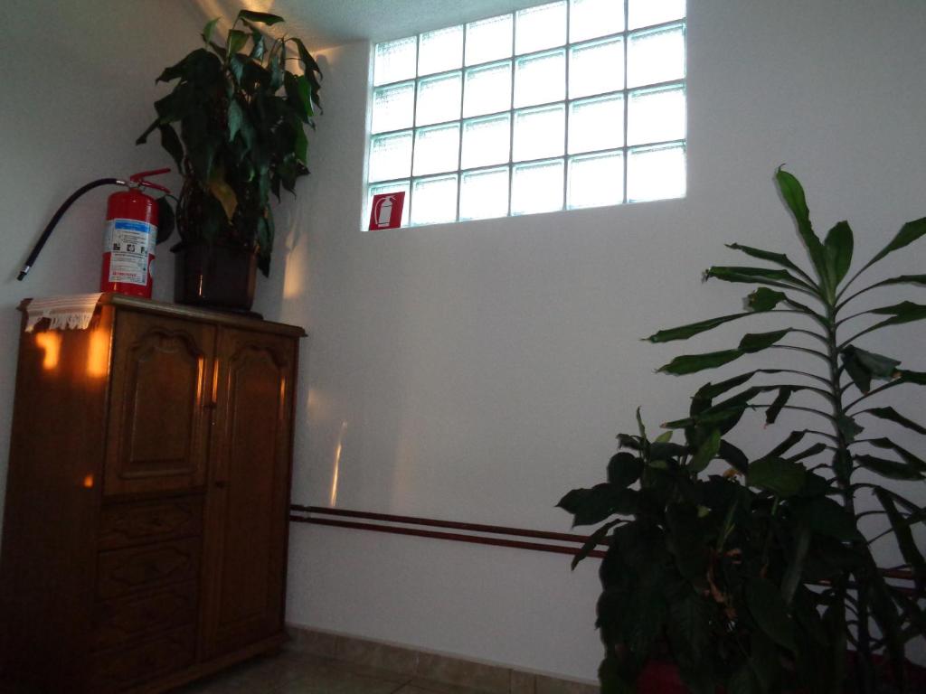 Sobe Rooms Amira photo
