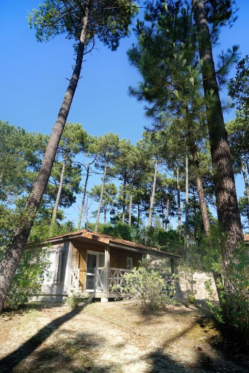 VVF Landes Moliets - 5