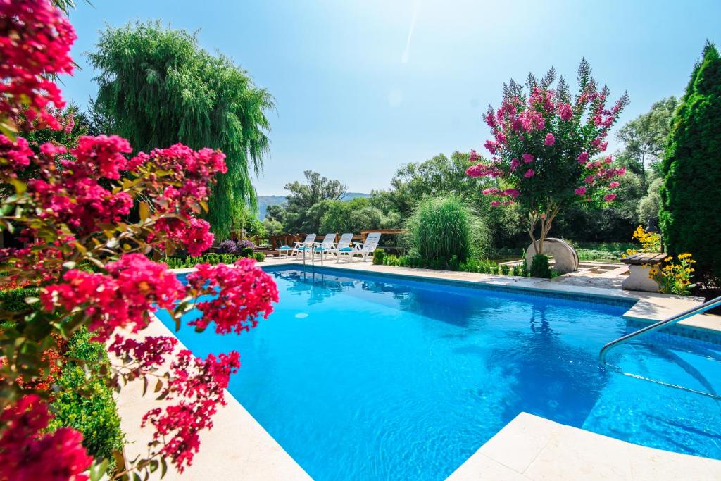 Villa Old Garden photo