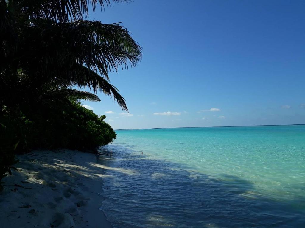 Thoddoo White Sand Inn photo