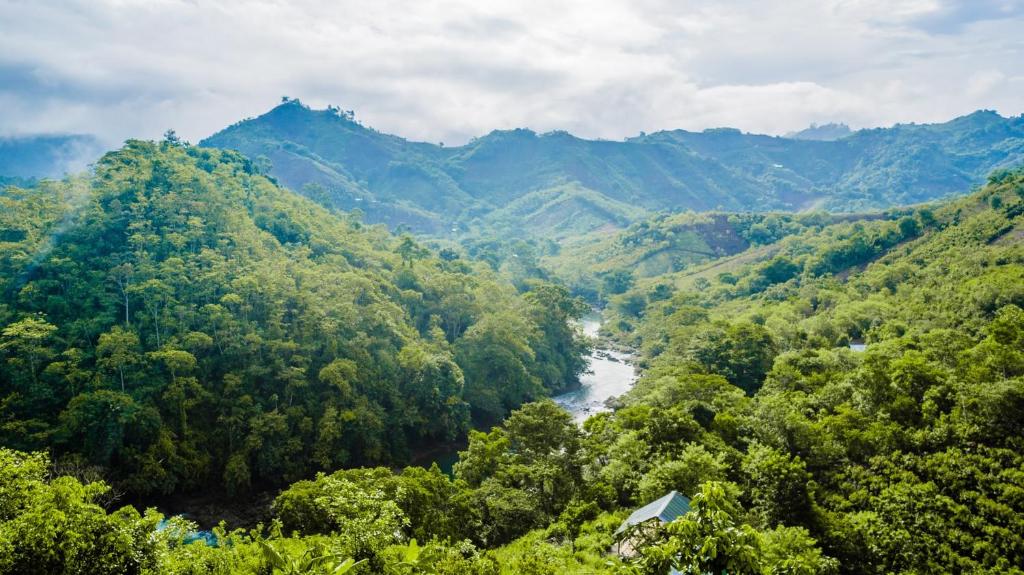 Alrededores