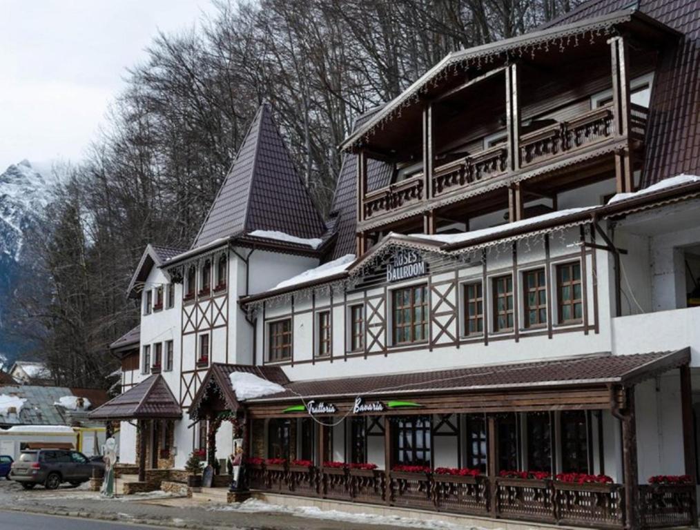 Conac Bavaria photo