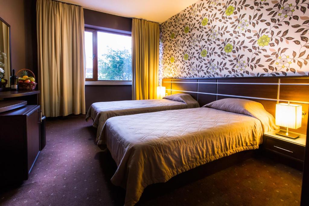 Hemus Hotel - Vratza photo