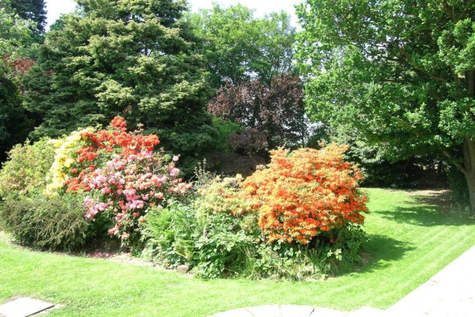 The oaklands hotel photo