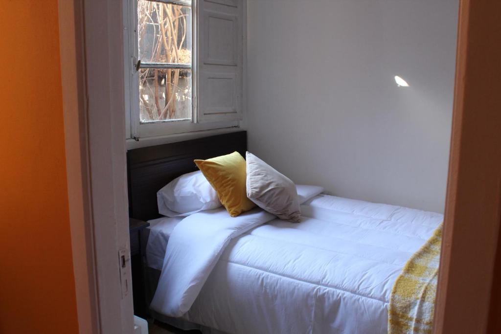 Wild Santiago Hostel photo
