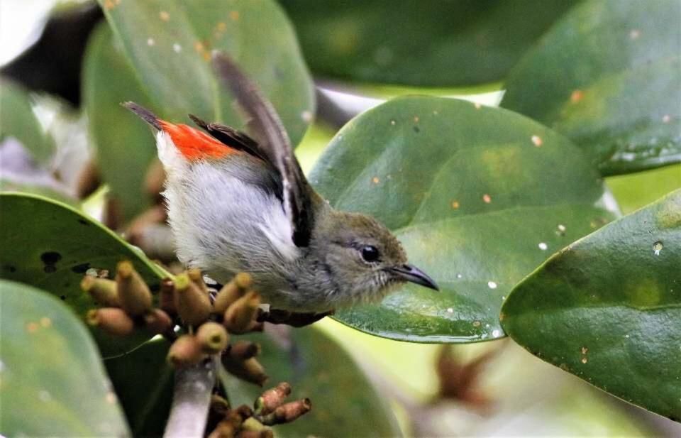 Kairos Villa photo