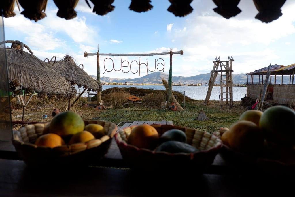 Quechua lodge Titicaca photo