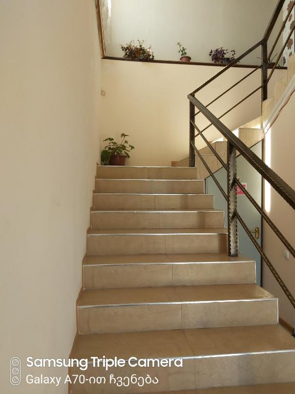 Martvili Newhotel photo