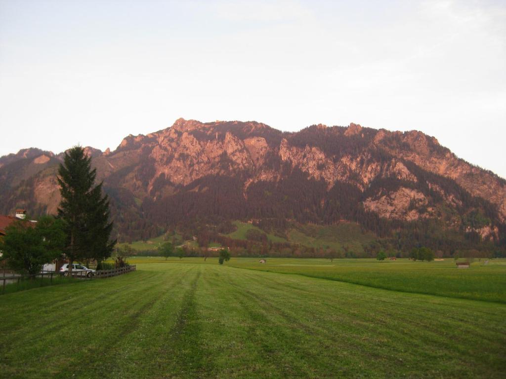 Haus Moni photo