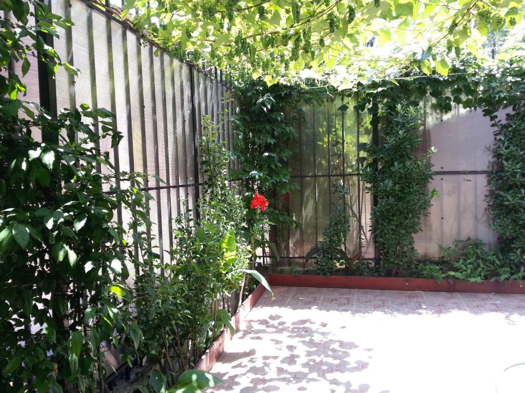 Banu Manta Apartments photo