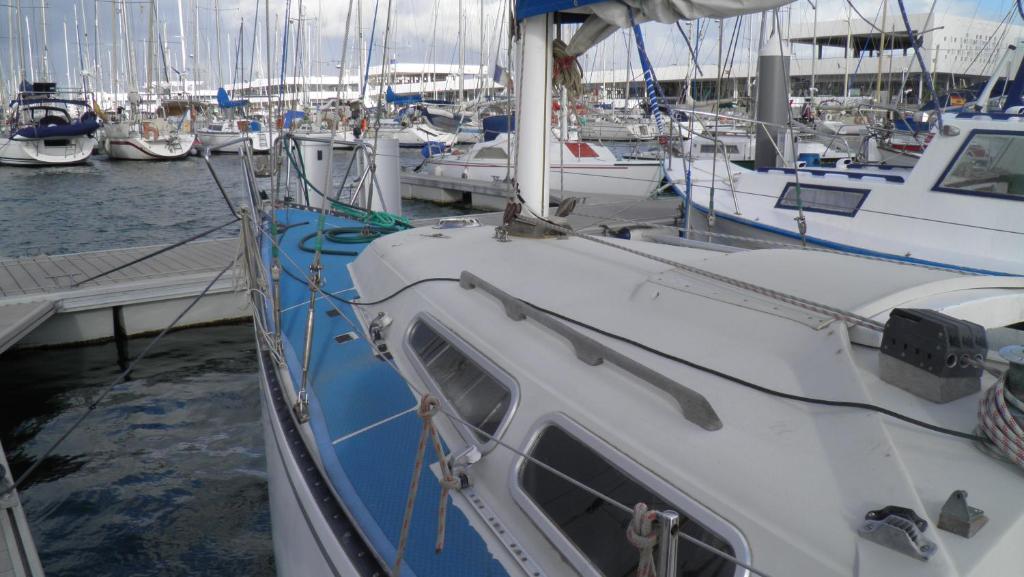 Velero Freja - 3