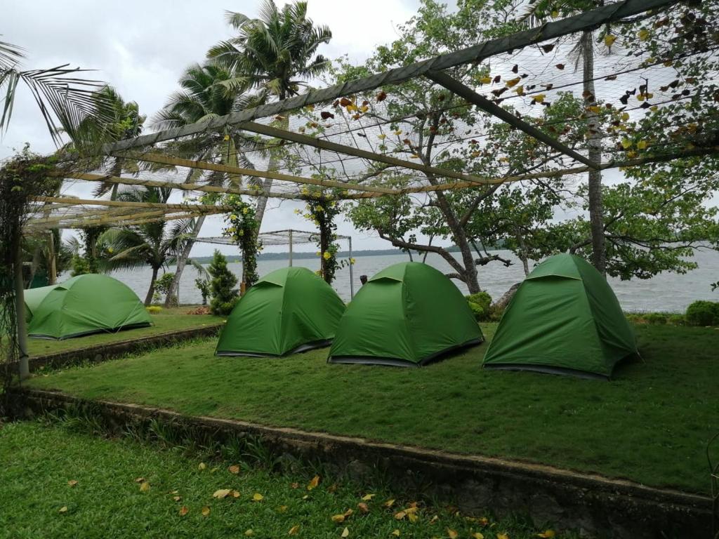 Munroe Eco Camp — Hotel in Kollam