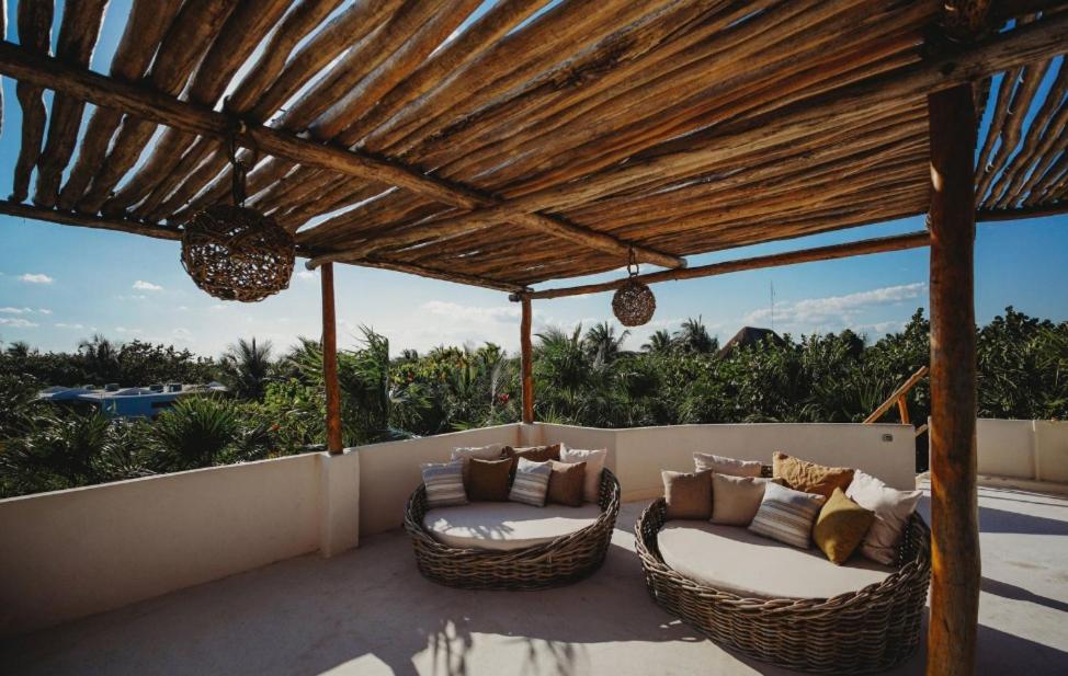Palms house - 4