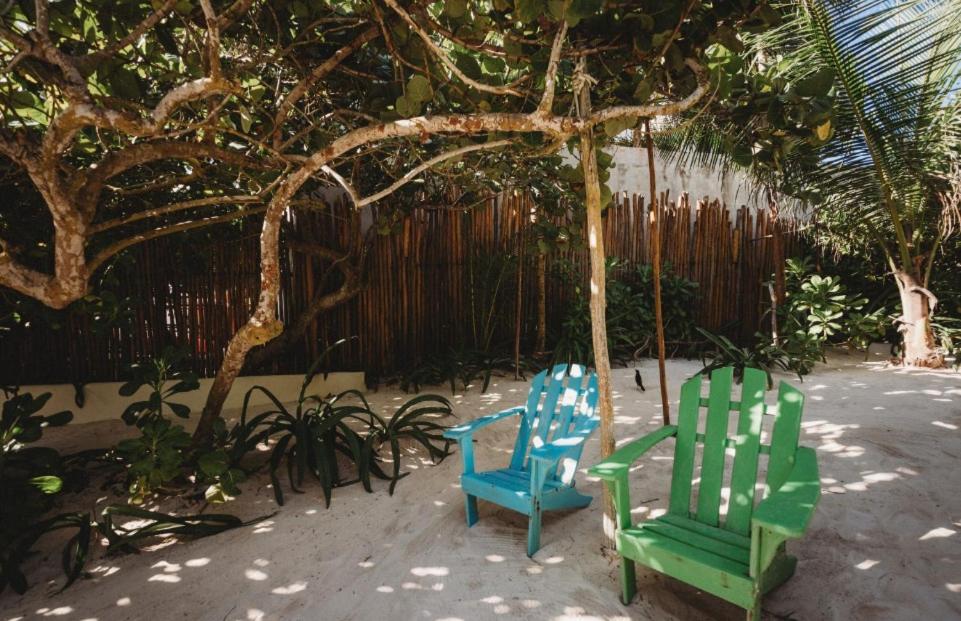 Palms house - 5