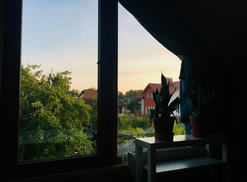 Room in a Scandinavian Style House photo