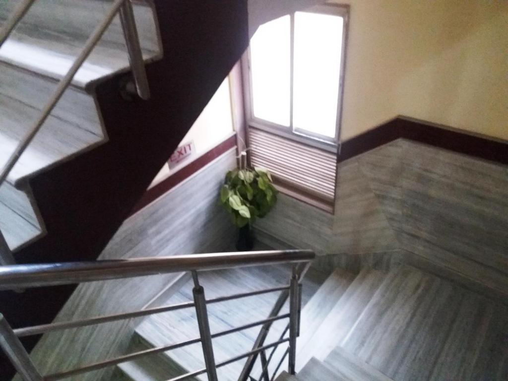 Hotel Roma Villa photo