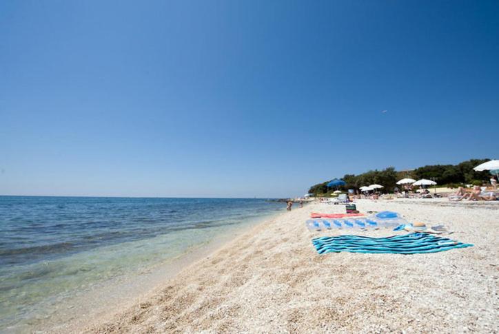 Apartmen Relax 200 m t Beach photo