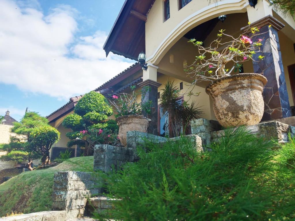The Terrace House photo