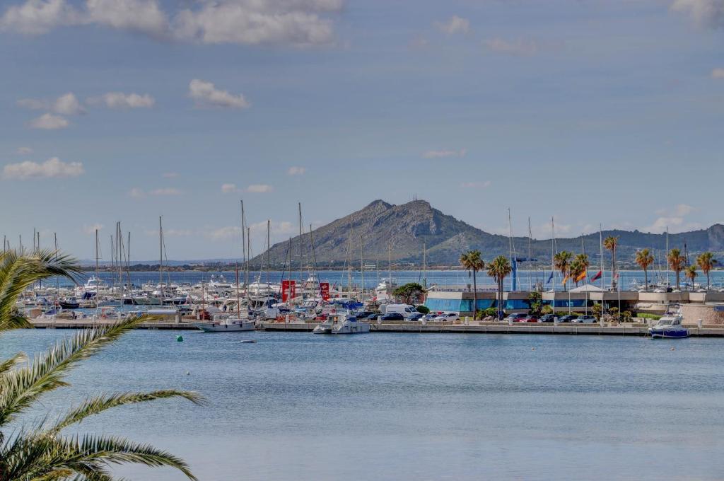 Hotel Sis Pins — Beach in Puerto Pollensa, Balearic Islands