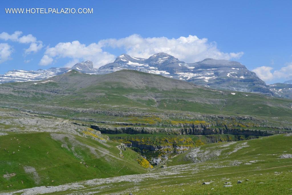 Surrounding environment