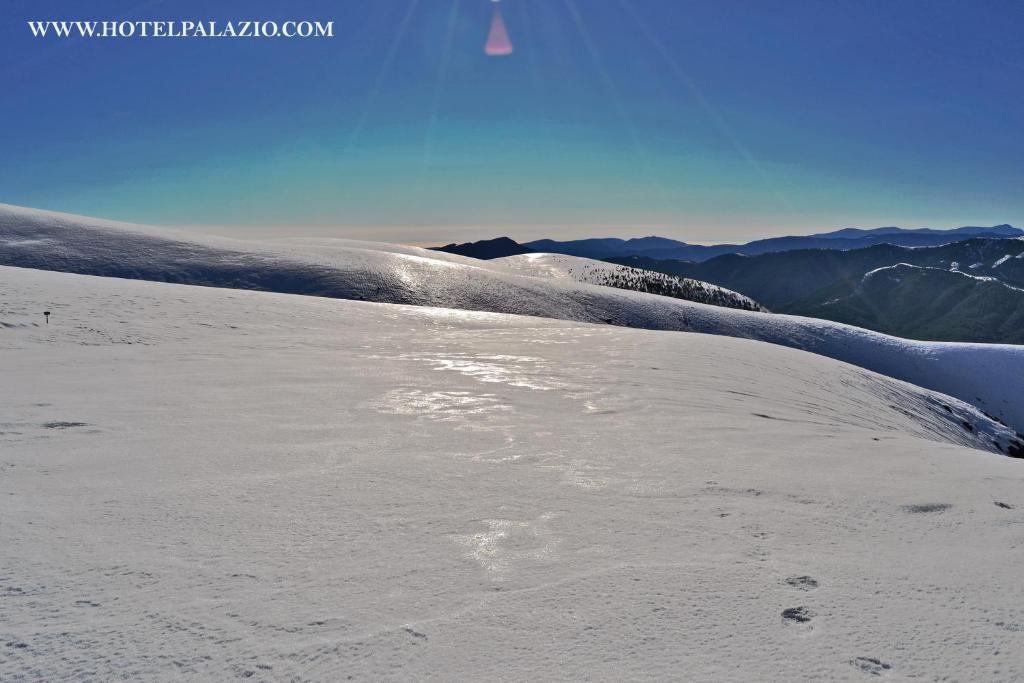 Surrounding environment