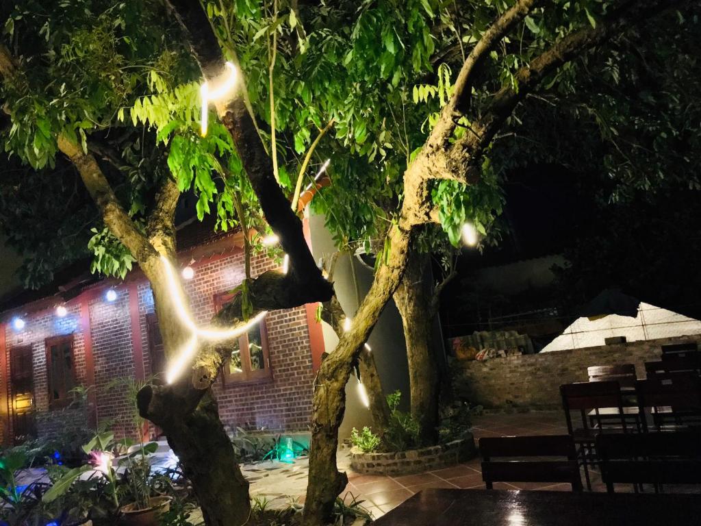 Tam Cốc Thái Dương Homestay