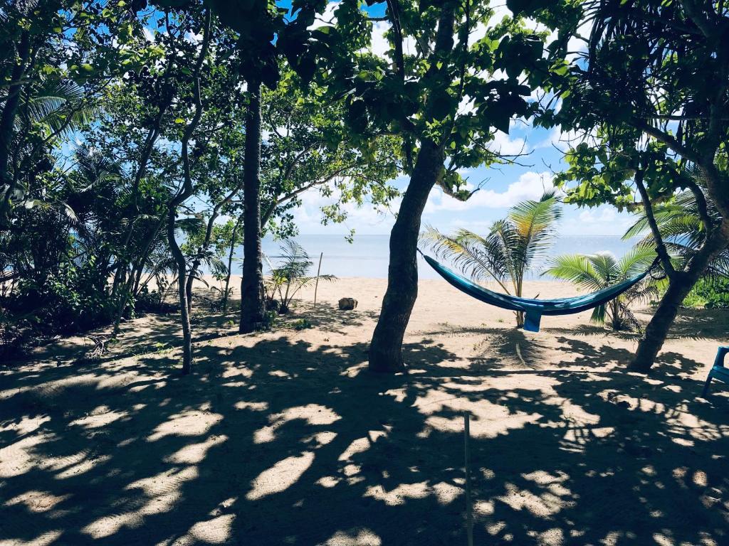 Serenity Beaches Resort photo