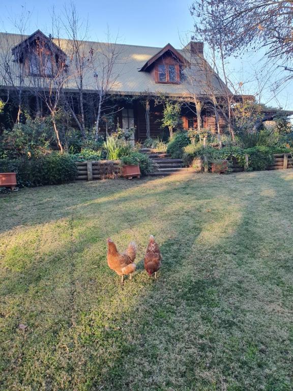 Angaston by the Winter Creek — Hotel in Barossa Valley