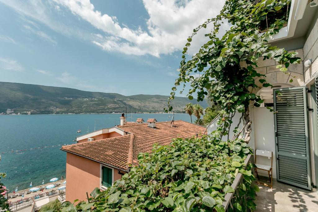 Boka Apartment 4 — Hotel in Herceg Novi