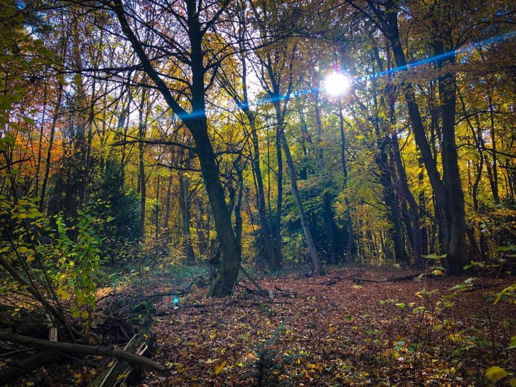 Hexenhauschen Dreieichenhain 전경