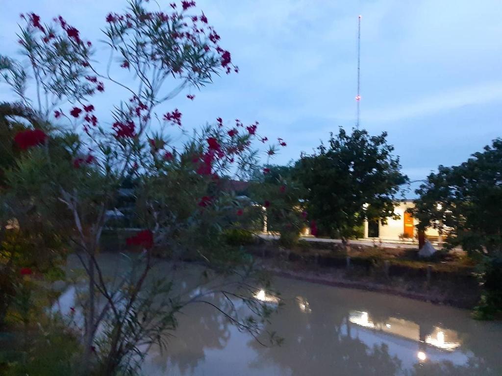 Paradise Resort at Lamphun photo