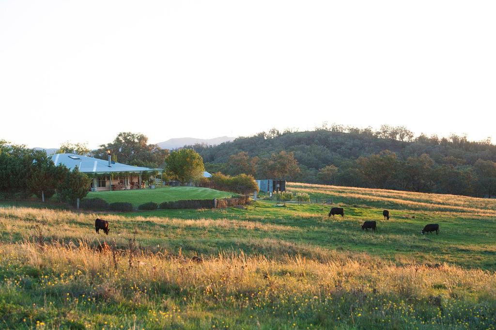 Rosby Guesthouse and Studio, Eurunderee
