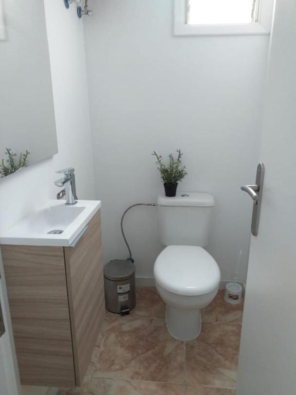 CÉNTRICO Y AGRADABLE PISO EN SANTA CRUZ DE TENERIFE - 3