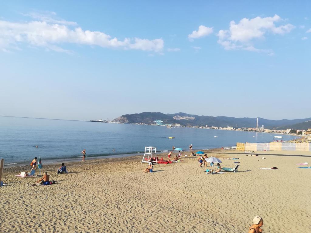 Violamare - 2
