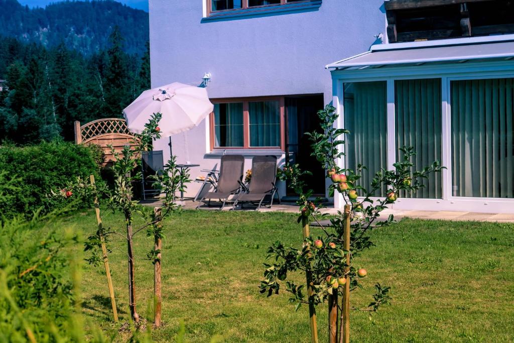 Appartement Vasilico - 5