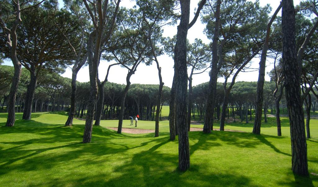 Apartamentos Golf Mar by La Costa photo