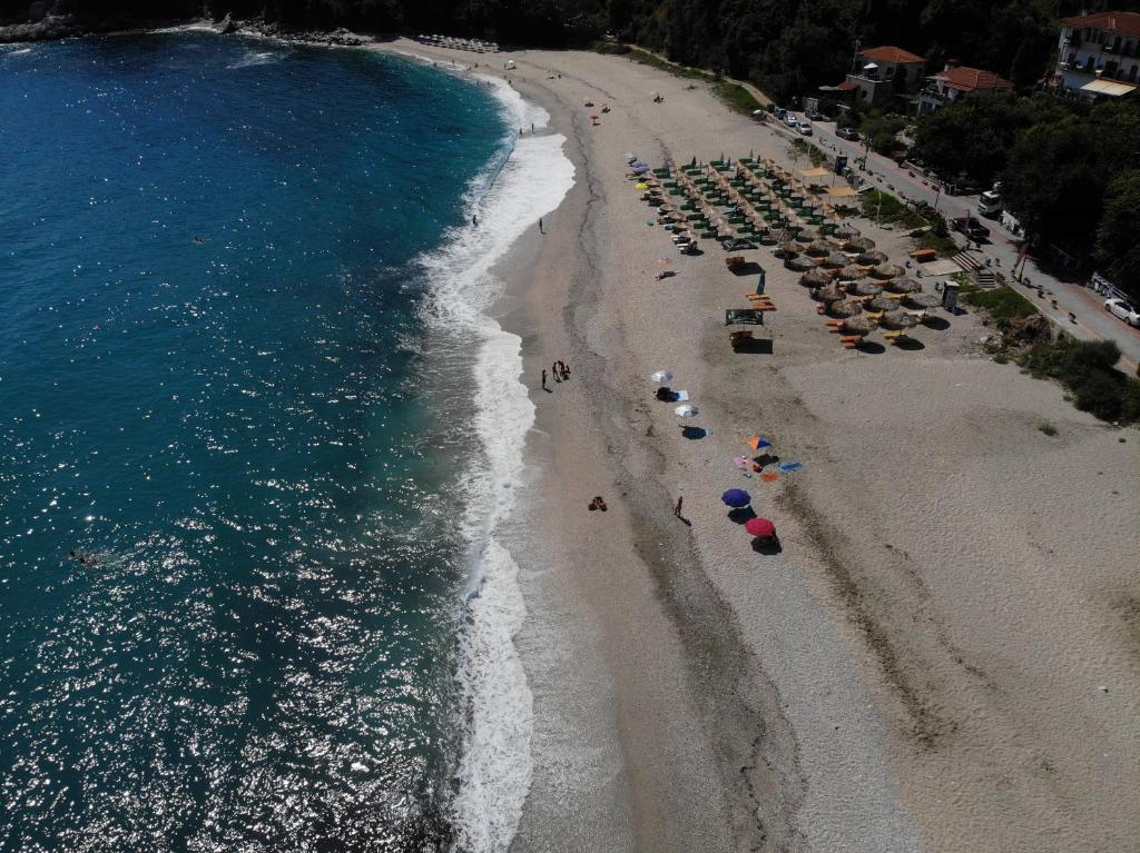 Ammos papanero photo
