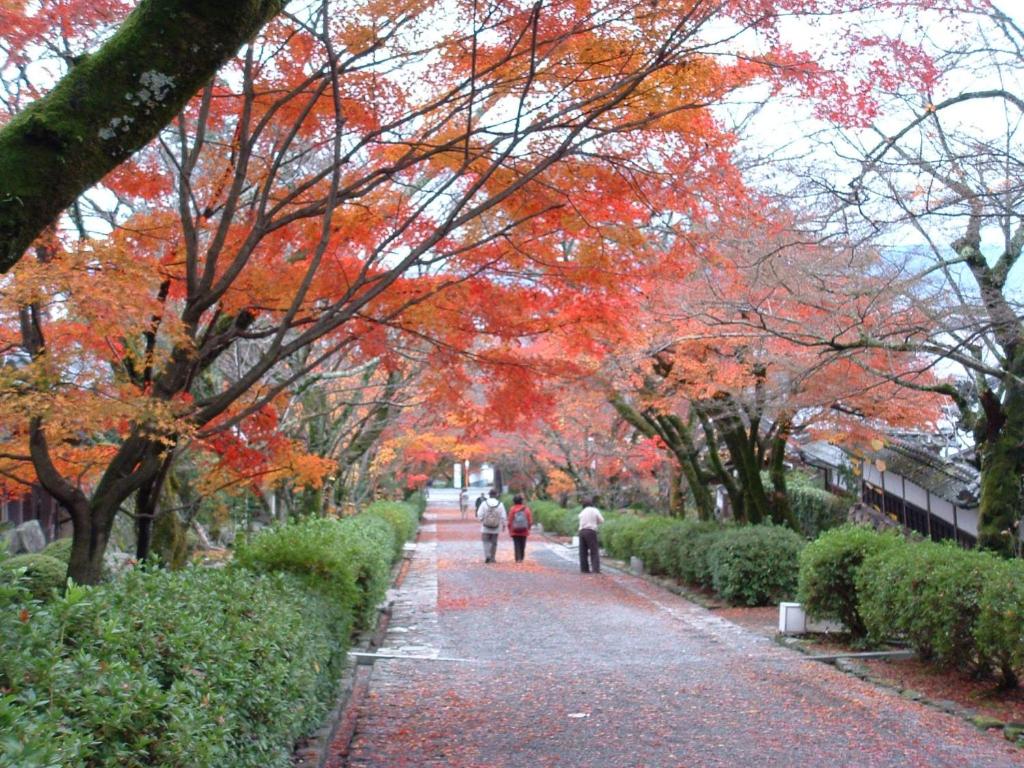 Nearby attraction