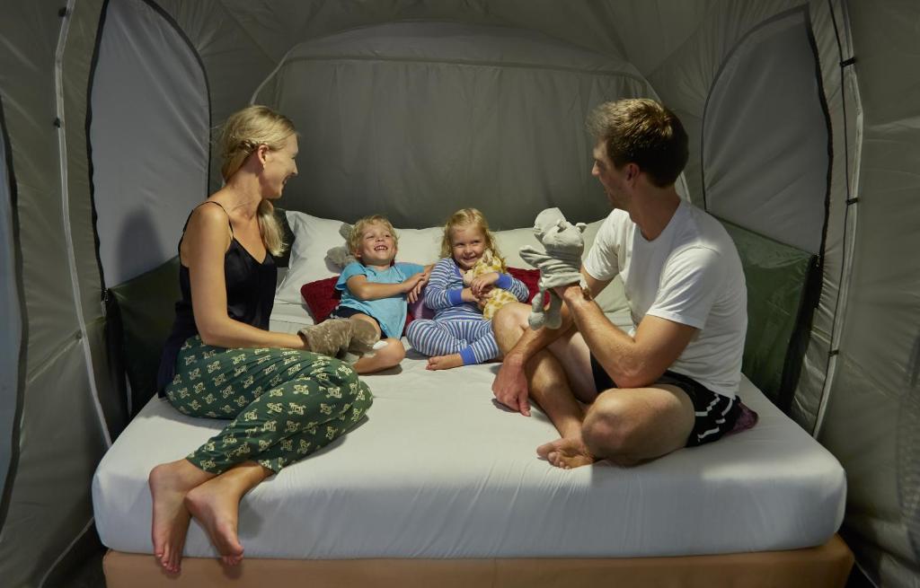 Comfortable mattresses